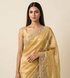 Mehrnoor Gold Tissue Saree