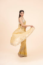 The House of Myra saree 015 — view 4