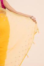 The House of Myra saree 028 — view 6