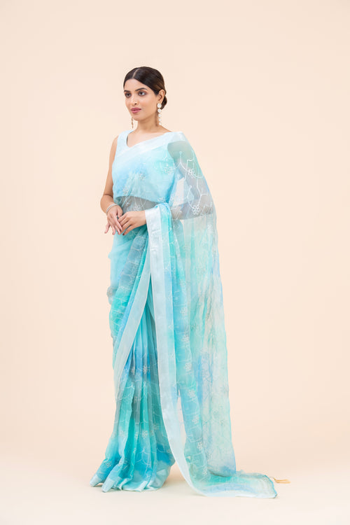 Aasma Embellished Chiffon Saree
